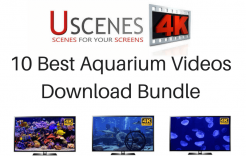 aquarium downloads for tv